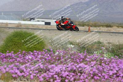 media/Feb-04-2023-SoCal Trackdays (Sat) [[8a776bf2c3]]/Turn 15 Inside Blooming (1050am)/